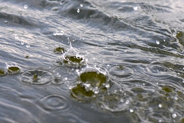 The surface of the water is rippled. Abstract background