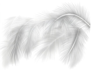 Obraz premium festive palm leaf shadow effect on a transparent background