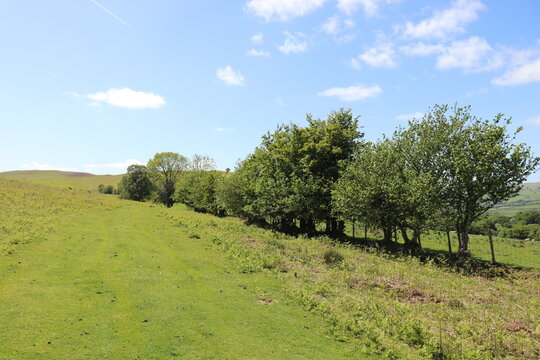Wales countryside in the summertime