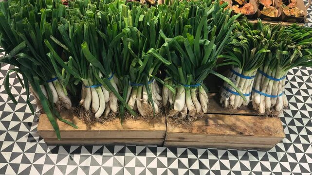 Callus or calcot, a type of green onion popular in Catalonia, is sold on the counter in a store. High quality 4k footage