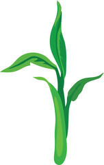 Sprout of palm plant with green leaves in cartoon style on white background