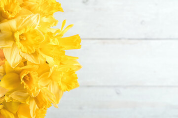 Close-up yellow daffodils on light wooden background with copy space.