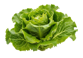 Fresh lettuce leaf isolated on transparent background
