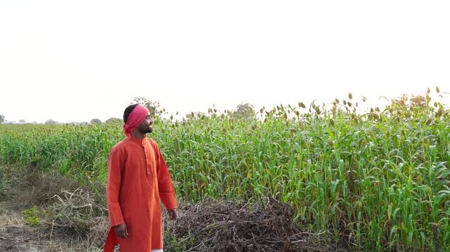 young indian farmer standing at agricultural farm