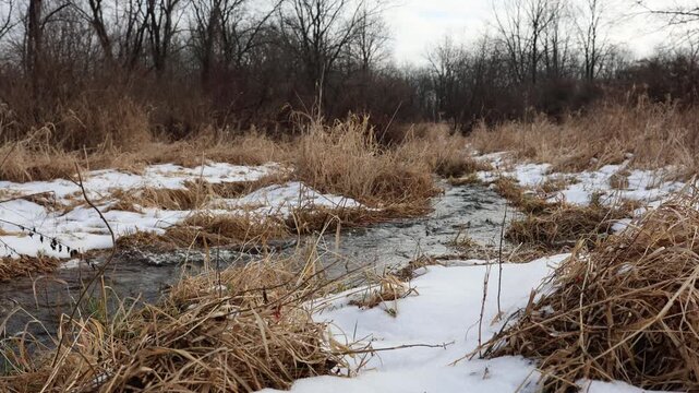 Creek flowing through a meadow, swollen with early springtime thaw