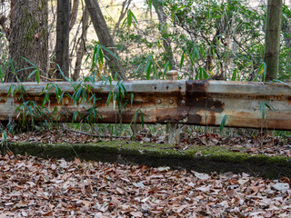 錆びて劣化した山道のガードレール