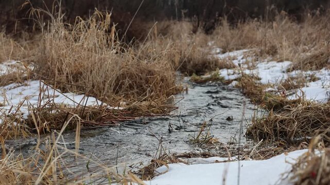 Creek flowing through a meadow, swollen with early springtime thaw