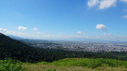 Obraz premium Nara Park – Home of Free-Roaming Deer and Historic Temples in Nara, Japan