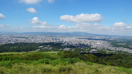 Obraz premium Nara Park – Home of Free-Roaming Deer and Historic Temples in Nara, Japan