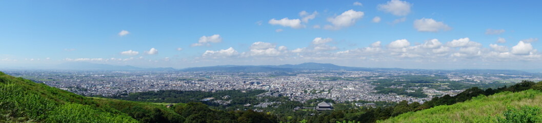 Obraz premium Nara Park – Home of Free-Roaming Deer and Historic Temples in Nara, Japan