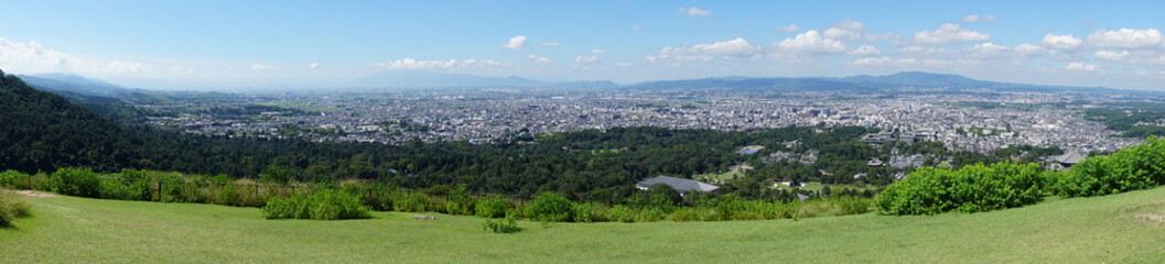 Fototapeta premium Nara Park – Home of Free-Roaming Deer and Historic Temples in Nara, Japan