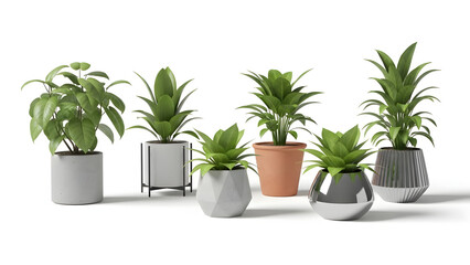 Fototapeta premium Contemporary potted plant set with balanced composition and realism