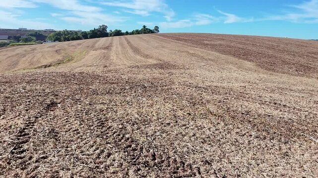 campo rural terra ap&oacute;s colheita 