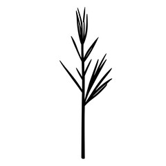 Fototapeta premium Black line art illustration of a single incense stick on a clean white background – minimal design for meditation, yoga, and wellness branding