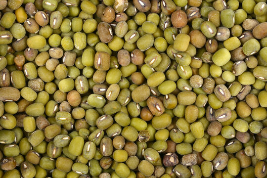 A high angle macro shot showing a dense pile of raw organic green mung beans with their characteristic small oval shape and white hilum