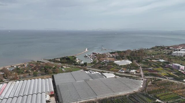 Scenic footage of agricultural plant nurseries surrounded by greenery, with a beautiful view of the sea and a river flowing nearby. Natural landscape combining farming, water, and coastal environment 