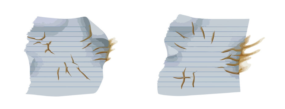 Ilustra&ccedil;&atilde;o de peda&ccedil;os de papel amassado e queimado com fundo transparente, arte digital.