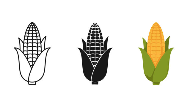 Three corn icons in line black and white and colored on white background