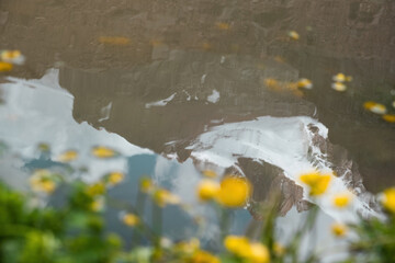 The reflection of snow-capped mountains in the water with yellow flowers in the foreground. A beautiful natural landscape that conveys the tranquility and grandeur of alpine nature