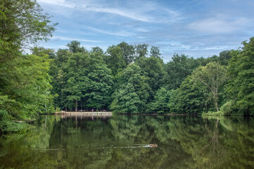 Lush Green Forest Reflection on Peaceful Lake Surface Representing Tranquility and Environmental Harmony with copy space