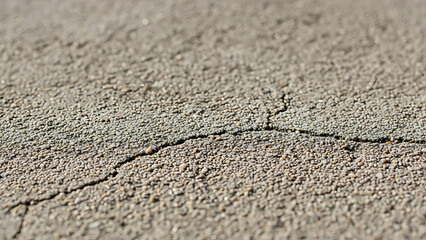 Obraz premium Cracked Pavement Surface, Urban Environment, Photography, Close-Up, Natural Light, Detailed Texture