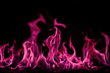 Dramatic pink fire with curling tendrils on a midnight canvas