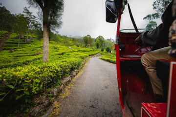 View from moving tuk tuk driving along rural road through lush green tea plantations near Haputale in Sri Lanka. Experiencing authentic travel, local transport, and scenic highland landscape.