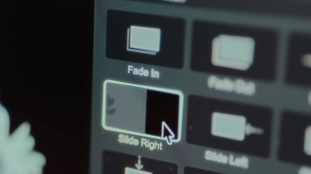 Options for Animation Presets within a video editing software