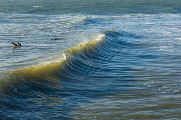 West Cliff Beach, Bournemouth, UK - December 25th 2025: Wave about to break in front of two surfers.