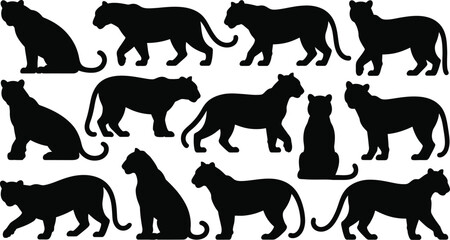 Obraz premium Tiger Silhouette Vector Set. Featuring majestic feline poses standing, walking, sitting, and reclining. Ideal for wildlife designs, jungle illustrations. Vector graphic.