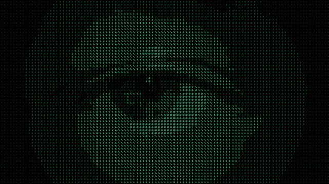 ASCII digital eye watching forward and blinking