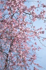 春の陽射しを感じる風景
