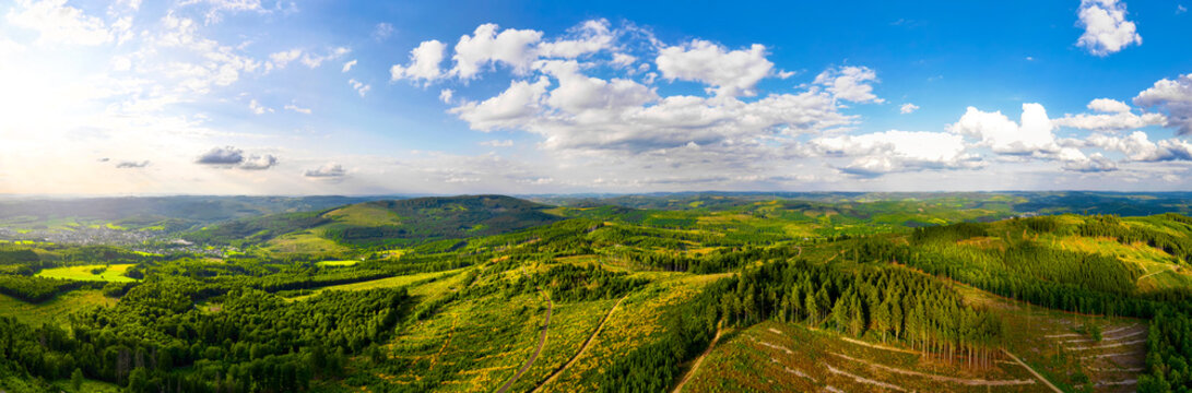 the forests and nature of the german rothaargebirge panorama