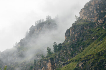 Misty mountain peaks with lush greenery and rocky cliffs on a foggy day