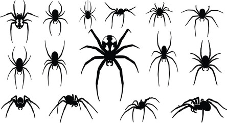Set of creepy spider silhouettes with various species and realistic poses, arachnid insect icons isolated on white background for Halloween vector design
