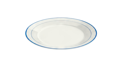 White plate with blue concentric circles pattern