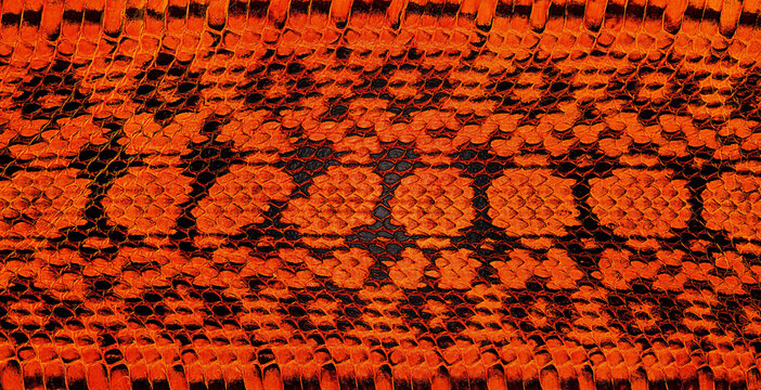 Real genuine python snake skin as background, exotic animals. Natural snake skin pattern, red color.