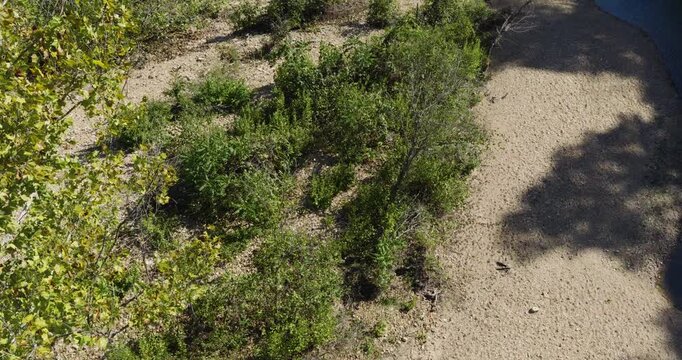 Sunlit North Fork River With Sandy Banks And Shrubs Through Wooded Valley In Missouri. drone tilt-up shot