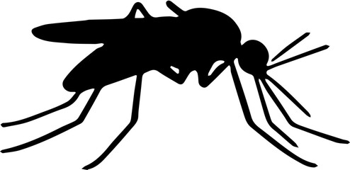 insect mosquito vector illustration 