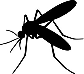 mosquito insect vector illustration