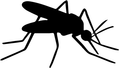 mosquito insect vector illustration