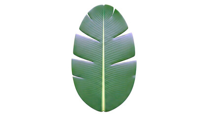 Green Banana Leaf with Serrated Edges