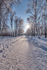 Frosty day by the river in the park.
