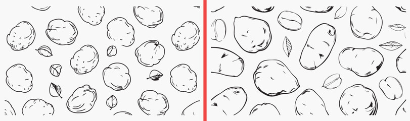 Fototapeta premium potato illustration drawing, hand drawn potato sketches, black and white vegetable art, root vegetable doodles, organic food illustration, farm produce artwork, vegetable icon collection