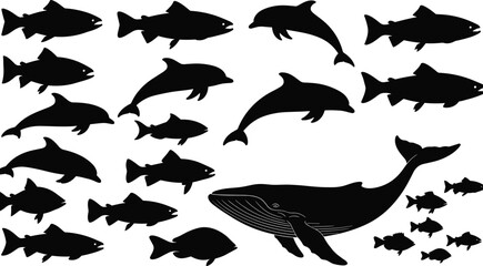 Marine animal silhouettes collection, fish dolphin whale shapes set, ocean wildlife icons, black aquatic animals isolated on white background © Monteza