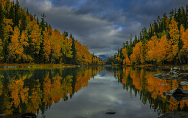 Serene autumn landscape with vibrant orange and yellow trees reflecting on calm river, surrounded by dense forest under cloudy sky. tranquil scene evokes sense of peace and natural beauty