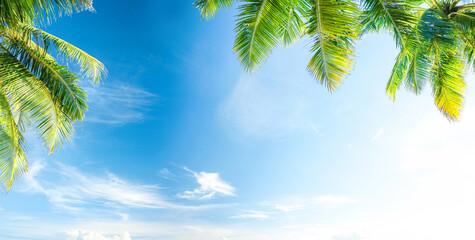 A vibrant tropical background with bright blue sky, light clouds, and sunlit green palm leaves framing the upper corners. 
