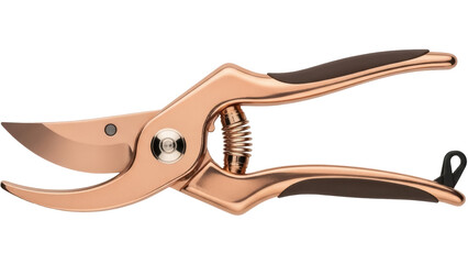 Isolated copper gardening clippers, gardening tool, close-up view on neutral background