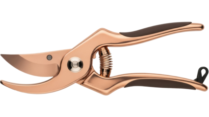 Isolated copper gardening clippers, gardening tool, close-up view on neutral background