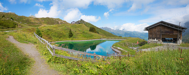 Fototapety na wymiar - Fototapeta24.pl